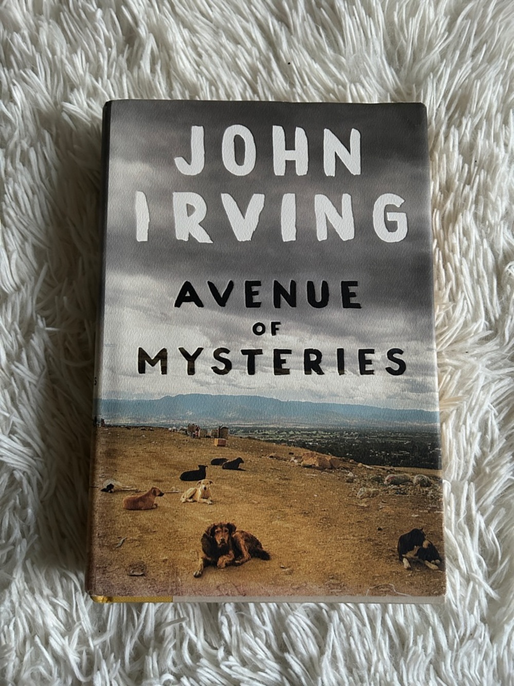 Avenue of Mysteries hardcover by John Irving in Brown, Blue, White